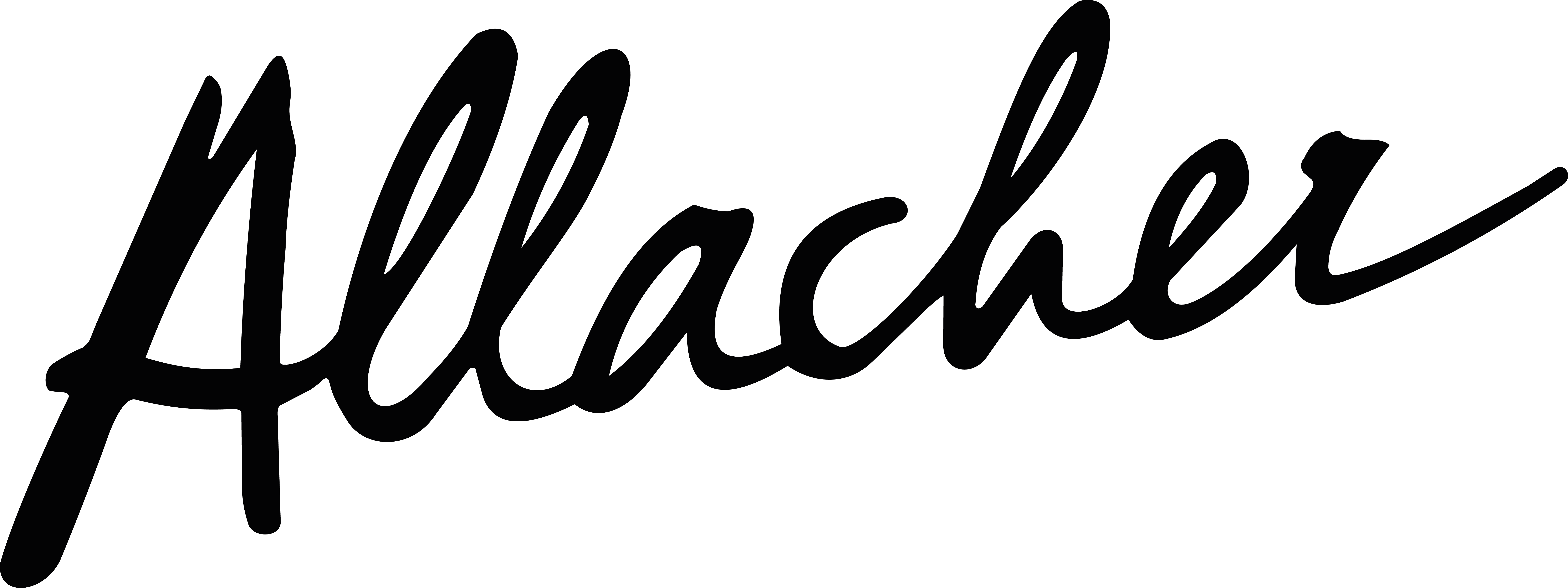 Allacher Vinum Pannonia